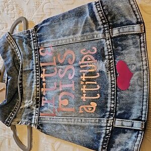 Handmade doggy denim vest